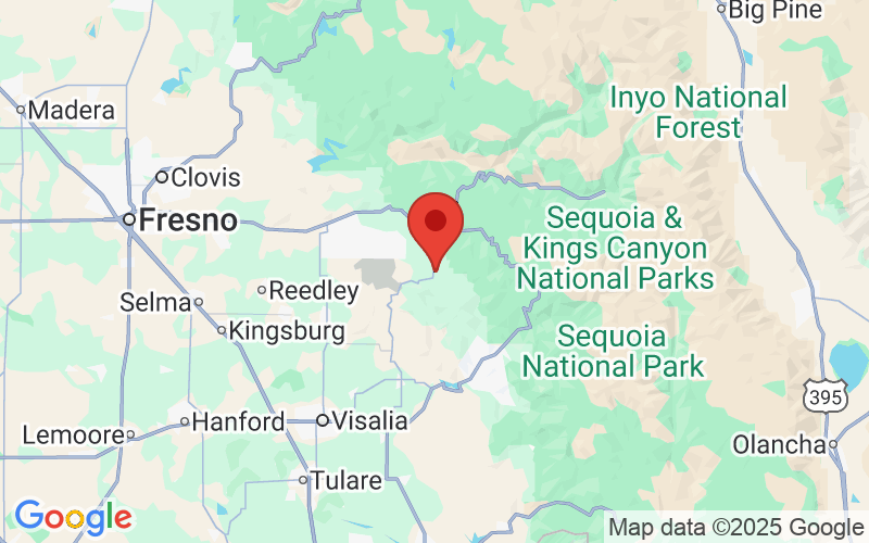 55939815xx Phone Numbers YouMail